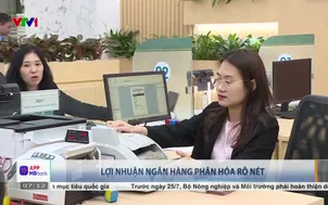 Lợi nhuận ngân hàng phân hóa rõ nét