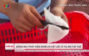 Đồng Nai: Phát hiện nhiều di vật liệt sĩ tại mộ tập thể