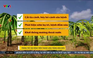 Bản tin thời tiết 5h30 - 17/7/2026