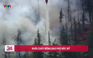 Khói cháy rừng bao phủ Bắc Mỹ