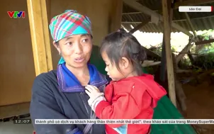 Lào Cai khắc phục sạt lở do mưa lũ