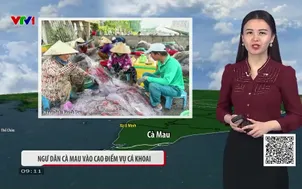 Bản tin thời tiết 9h10 - 20/7/2026