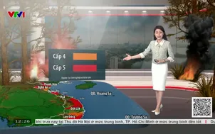 Bản tin thời tiết 12h30 - 21/7/2026