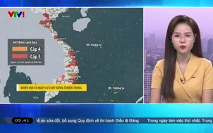 Bản tin thời tiết 5h30 - 21/7/2026
