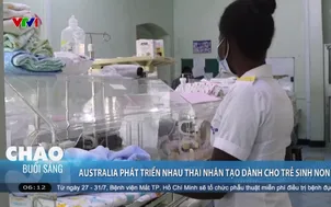 Australia phát triển nhau thai nhân tạo dành cho trẻ sinh non