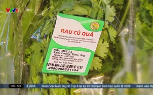 Nhu cầu tiêu dùng xanh, sạch tăng 15% mỗi năm  