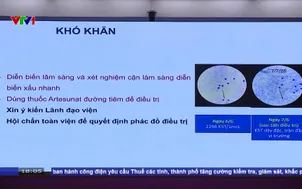 Cứu chữa 2 bệnh nhân nguy kịch do sốt rét ác tính