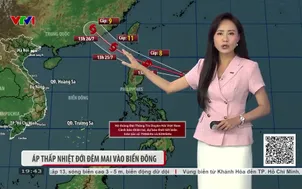 Bản tin thời tiết 19h45 - 23/7/2026