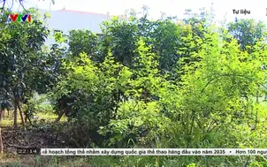 Hà Nội đẩy nhanh giải phóng mặt bằng các dự án nhà ở xã hội
