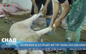 Hà Nội đưa 52 cơ sở giết mổ tập trung vào vận hành