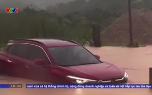 Kinh nghiệm xử lý khi lái xe gặp đường ngập nước