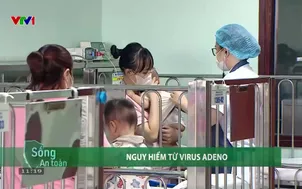 Nguy hiểm từ virus Adeno