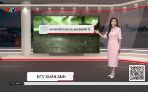 Bản tin thời tiết 19h45 - 27/7/2026