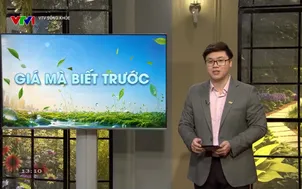 VTV Sống khỏe: Mắt sáng cho người bệnh Đái tháo đường