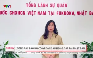 Công tác bảo hộ công dân sau động đất tại Nhật Bản