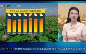 Bản tin thời tiết 5h30 - 29/7/2026