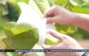 Xây thế trận biên phòng từ những mầm xanh