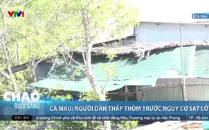 Cà Mau: Người dân thấp thỏm trước nguy cơ sạt lở