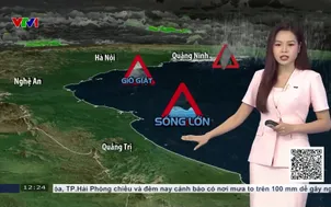 Bản tin thời tiết 12h30 - 01/8/2026
