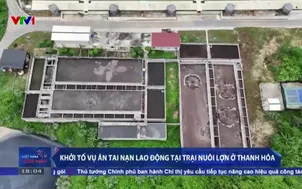 Khởi tố vụ án tai nạn lao động tại trại nuôi lợn ở Thanh Hóa