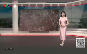 Bản tin thời tiết 12h30 - 02/8/2026
