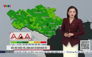 Bản tin thời tiết 12h30 - 03/8/2026