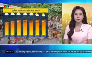Bản tin thời tiết 5h30 - 03/8/2026