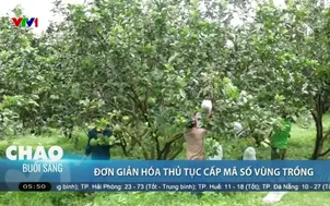 Đơn giản hóa thủ tục cấp mã số vùng trồng