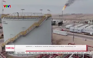 OPEC+ nâng hạn ngạch dầu tháng 9