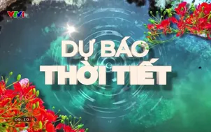 Bản tin thời tiết 9h10 - 04/8/2026