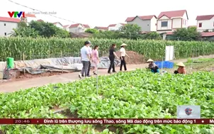 An toàn thực phẩm: Kiểm soát nguy cơ từ nguồn