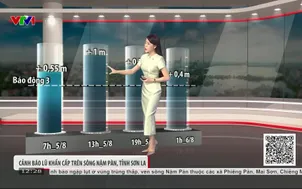 Bản tin thời tiết 12h30 - 05/8/2026