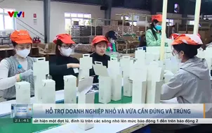 Hỗ trợ doanh nghiệp nhỏ và vừa cần đúng và trúng