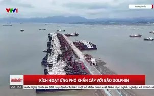 Kích hoạt ứng phó khẩn cấp với bão Dolphin