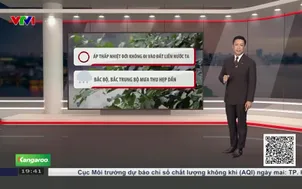 Bản tin thời tiết 19h45 - 07/8/2026