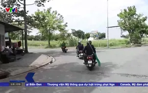 Nuôi thú cưng có trách nhiệm