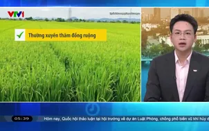 Bản tin thời tiết 5h30 - 08/8/2026