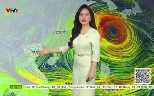 Bản tin thời tiết 19h45 - 08/8/2026