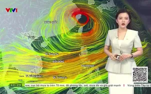 Bản tin thời tiết 12h30 - 09/8/2026