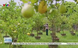 Đưa trải nghiệm làm nông thành dịch vụ bền vững