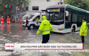 Bão Dolphin gây ngập úng tại Thượng Hải