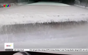 Giá lương thực toàn cầu tăng nhẹ trong tháng 7