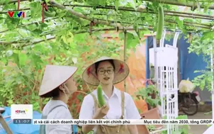 Thu hút từ trải nghiệm làm nông dân