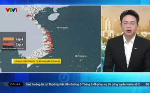 Bản tin thời tiết 5h30 - 11/8/2026