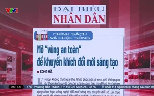 Điểm báo - 11/8/2026
