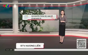 Bản tin thời tiết 12h30 - 11/8/2026