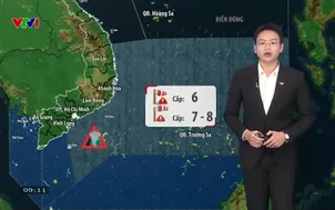 Bản tin thời tiết 9h10 - 11/8/2026