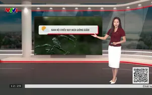 Bản tin thời tiết 12h30 - 12/8/2026
