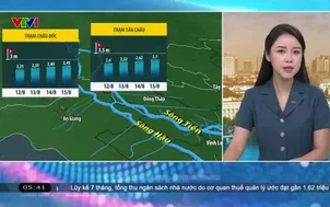 Bản tin thời tiết 5h30 - 12/8/2026