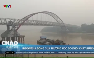 Indonesia đóng cửa trường học do khói cháy rừng 
